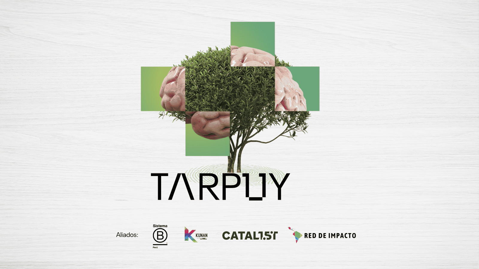 Demo Day Tarpuy